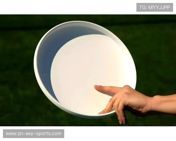 从零基础到飞盘高手的全面指南与实战技巧分享